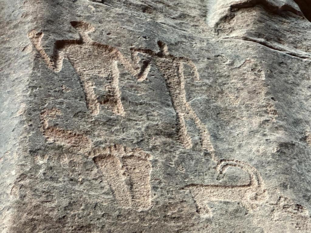 Bedouin Holidays Camp And Jeep Tours Wadi Rum Exterior photo